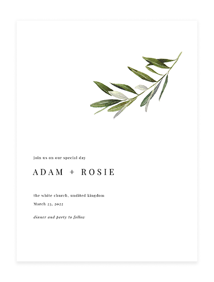 Olive Wedding 1